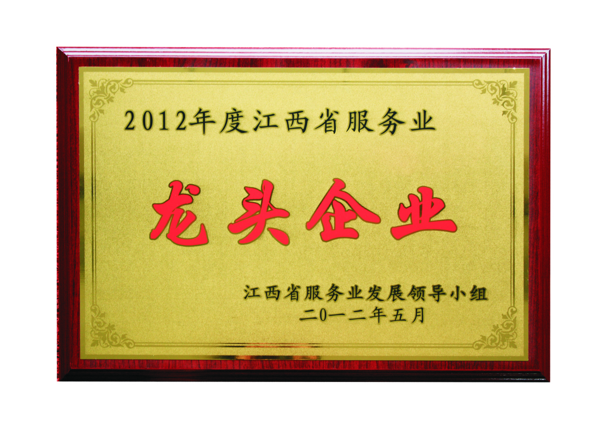 江西省服務業(yè)龍頭企業(yè)